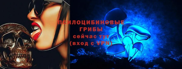 бутират Пересвет
