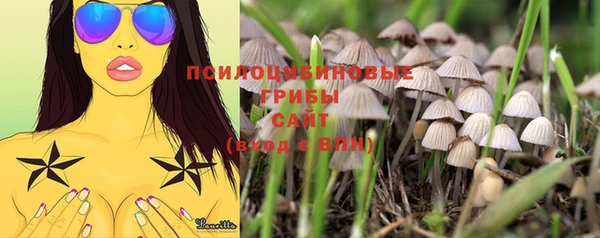 мдпв Балабаново