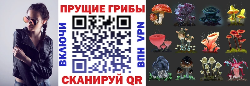 блэк спрут ONION  купить  цена  Плавск  Галлюциногенные грибы ЛСД 